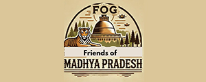 fog_org_logo_3